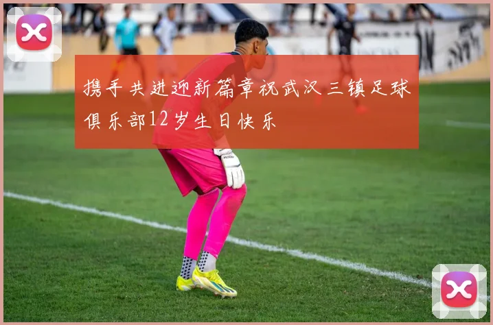 携手共进迎新篇章祝武汉三镇足球俱乐部12岁生日快乐