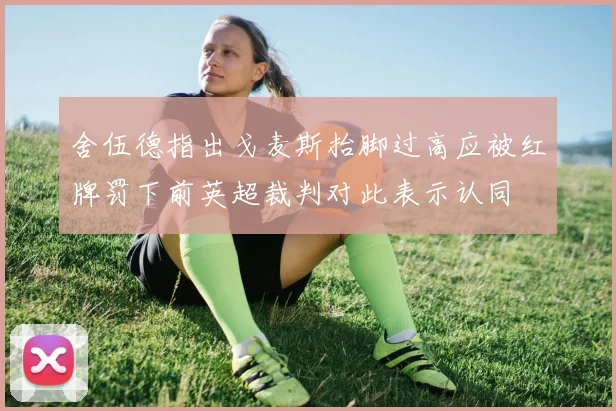 舍伍德指出戈麦斯抬脚过高应被红牌罚下前英超裁判对此表示认同